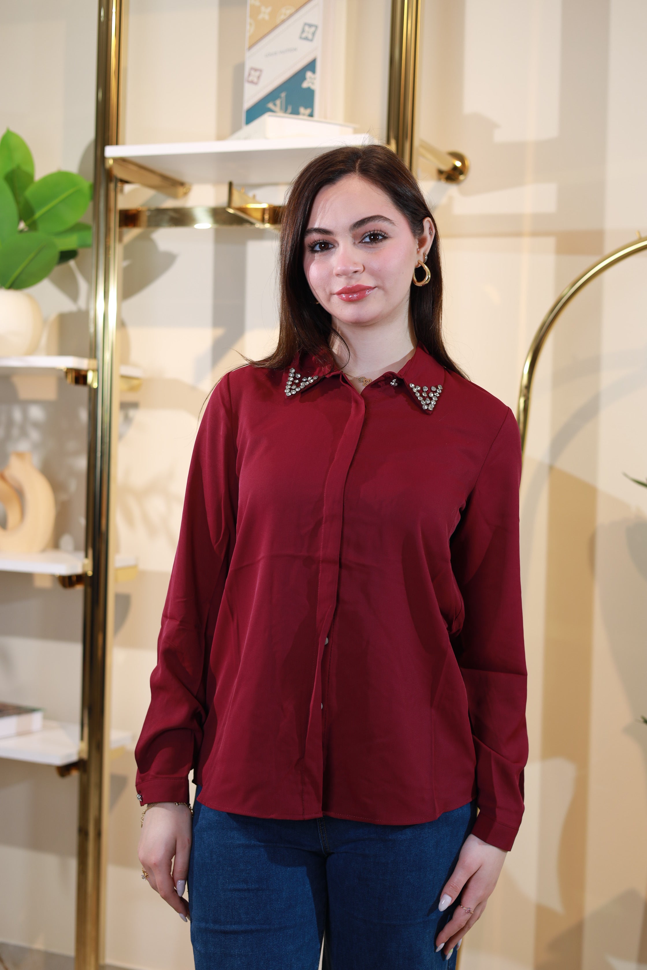 Chemise plain alpix